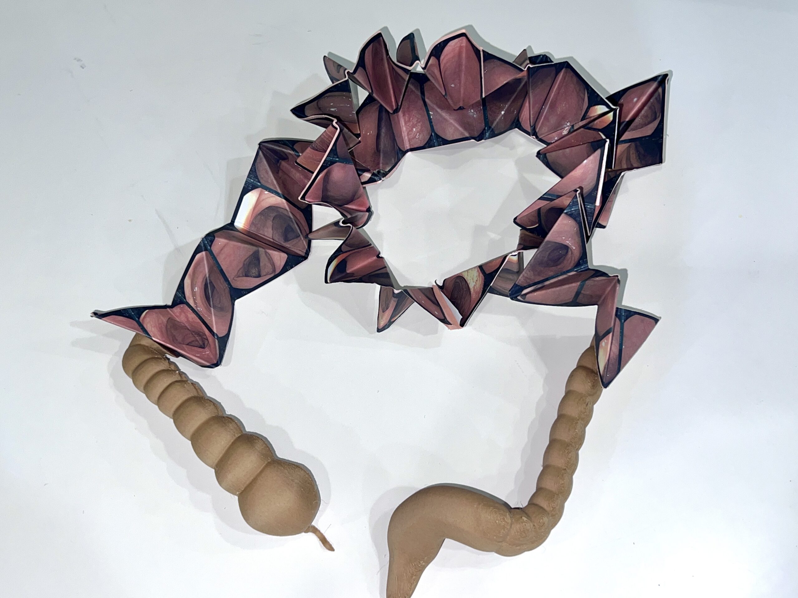 tashimaryozo02 タシマリョウゾウ